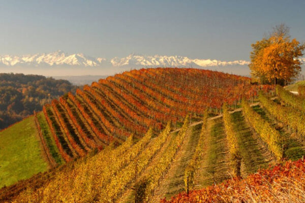 Langhe, Roero e Monferrato: Candidatura a Patrimonio dell’Unesco