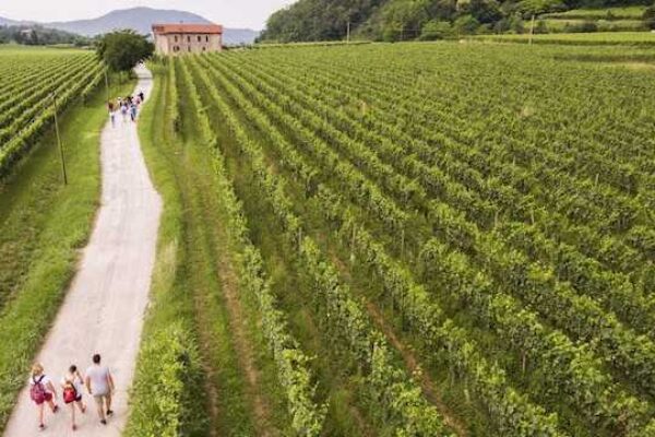 Strada del Vino Franciacorta