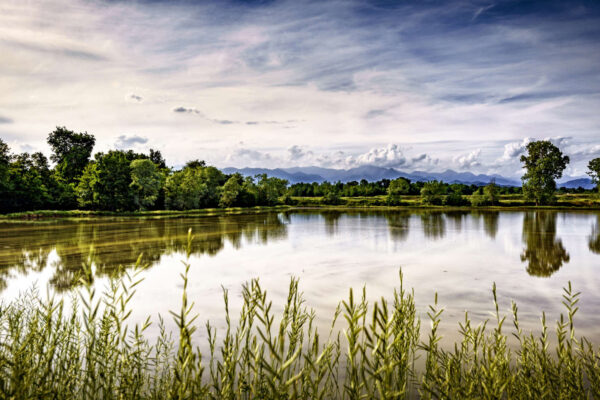 Riflessi – Strada del riso
