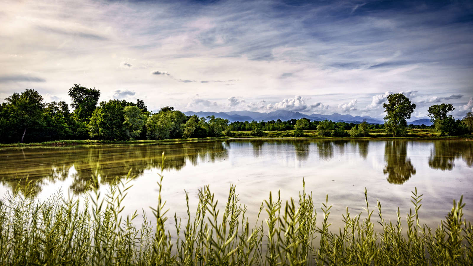 Paesaggio delle risaie vercellesi in Piemonte